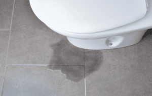 Ways To Detect A Silent Toilet Leak In Serra Mesa San Diego