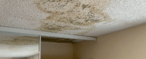 7 Tips To Find Leak In The Walls Serra Mesa San Diego